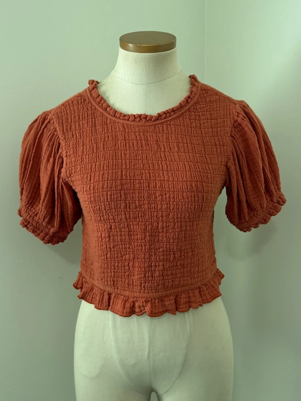 Free People Medium Rust Orange Smocked Textured Puff Sleeve Crop Cropped Top